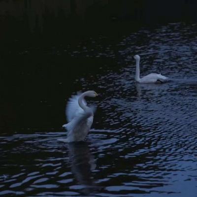 星空app官方版手机app下载截图