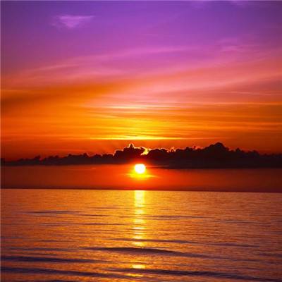 星空app官方版手机app下载截图