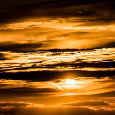 6666官方网站截图