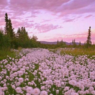 m6米乐手机登陆入口